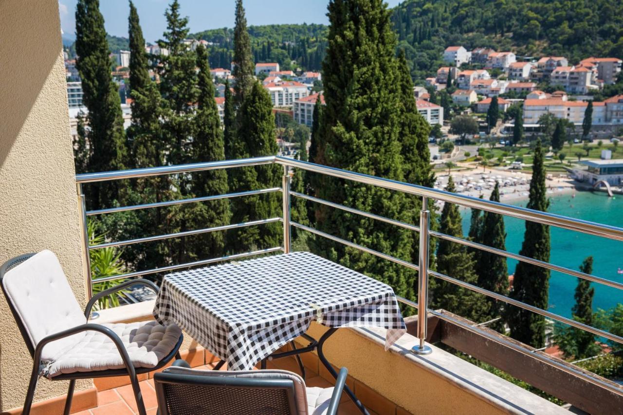 Apartment Vista 2